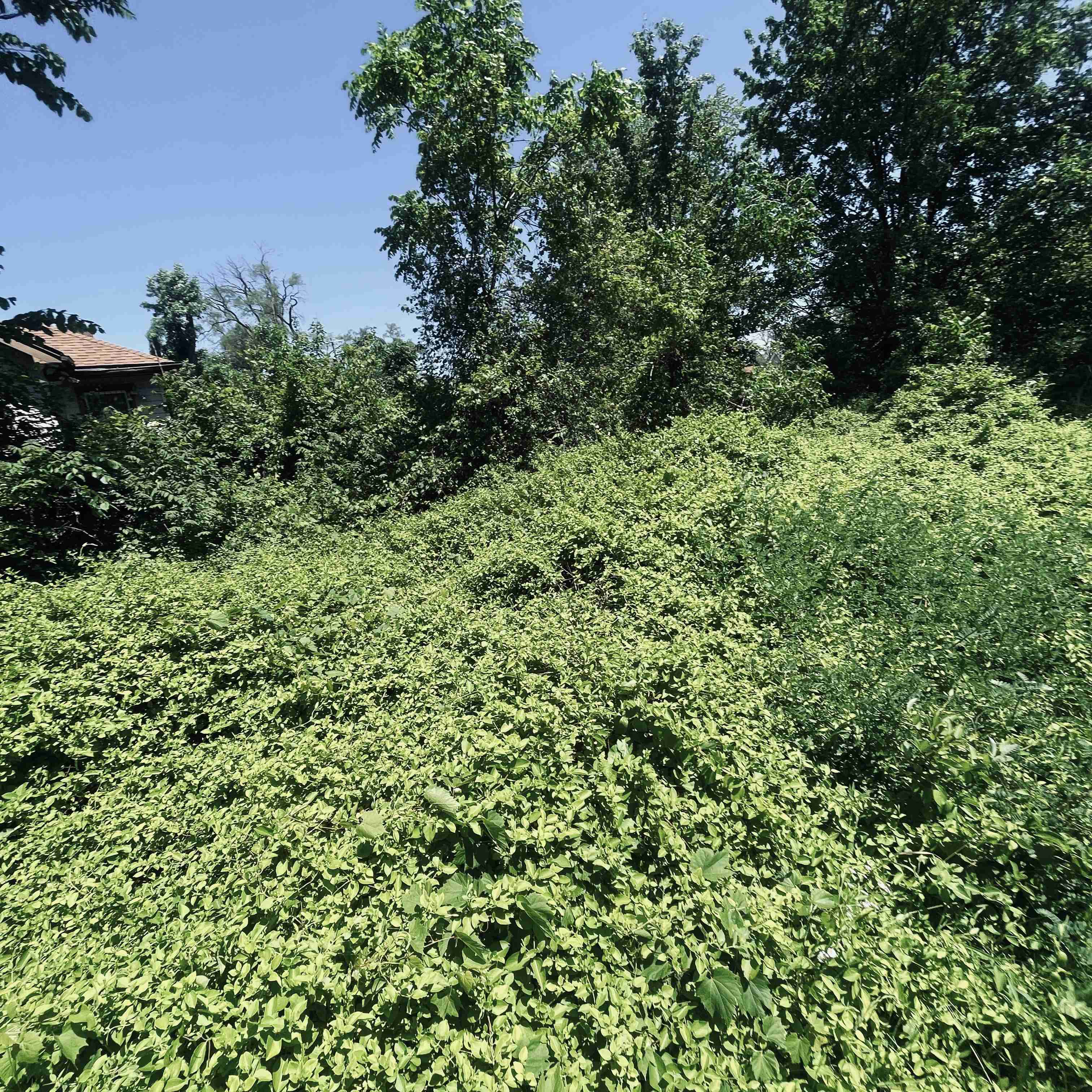 13530 Sorrento (20).jpg